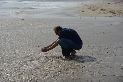 DSC_2280 (Large).JPG